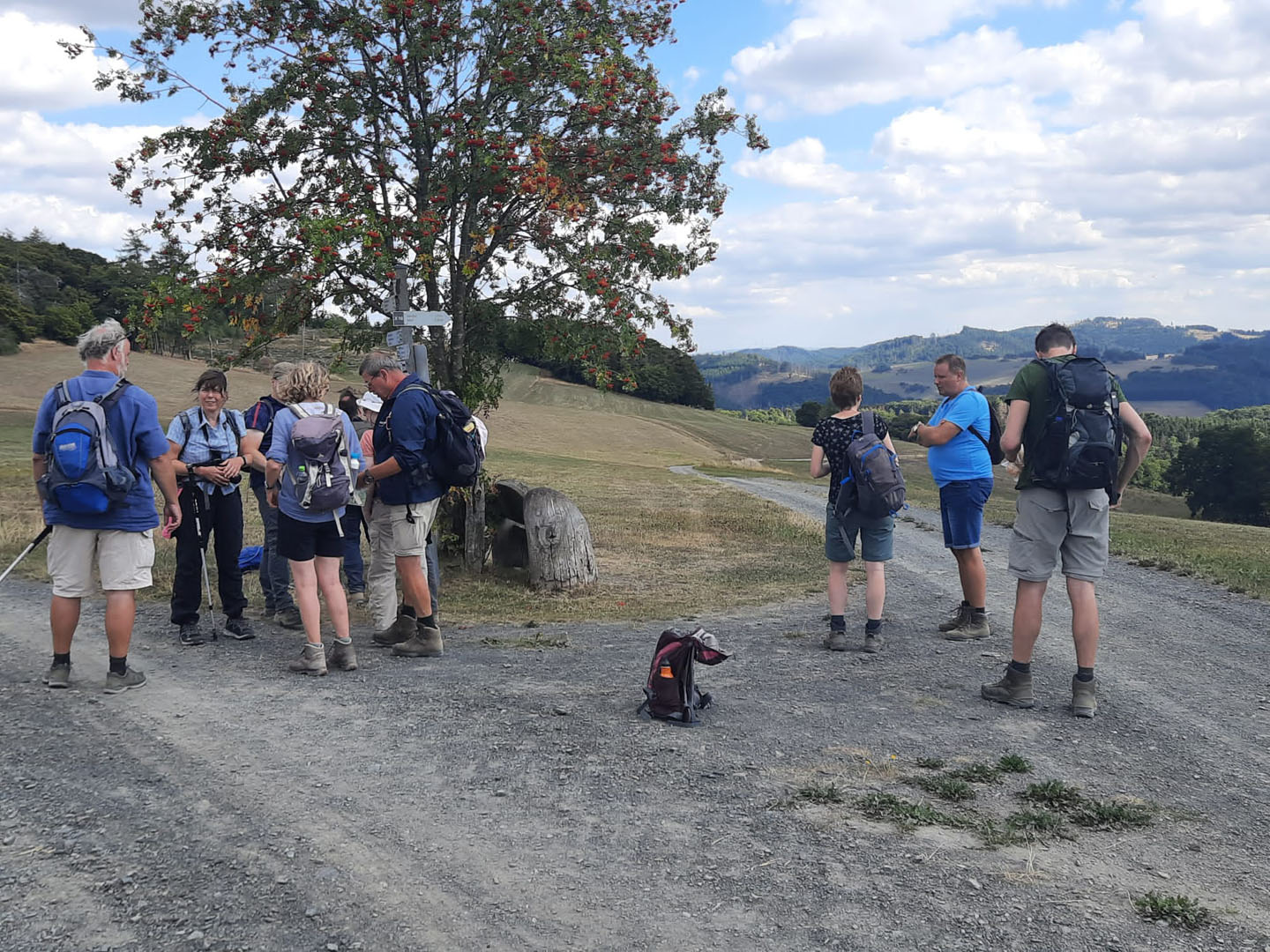 Singlereis Wandelen Sauerland - Aktiva Tours | Vanaf 545,-