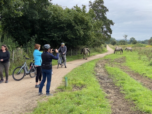 Singlereis Fietsen Limburgs Krijtland - Aktiva Tours | Vanaf 395,-