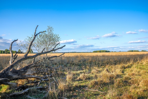 Wandelvakantie