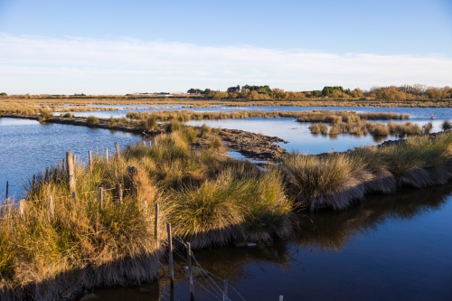 Camargue"