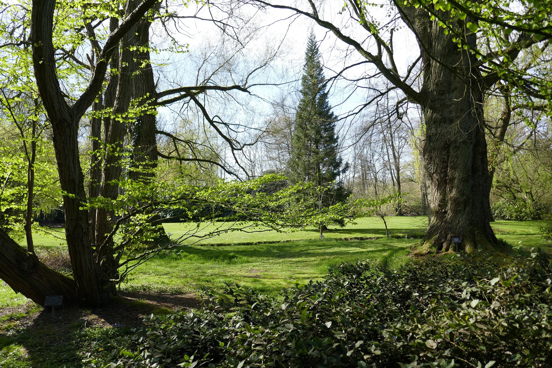 Arboretum Poort Bulten bij De Lutte
