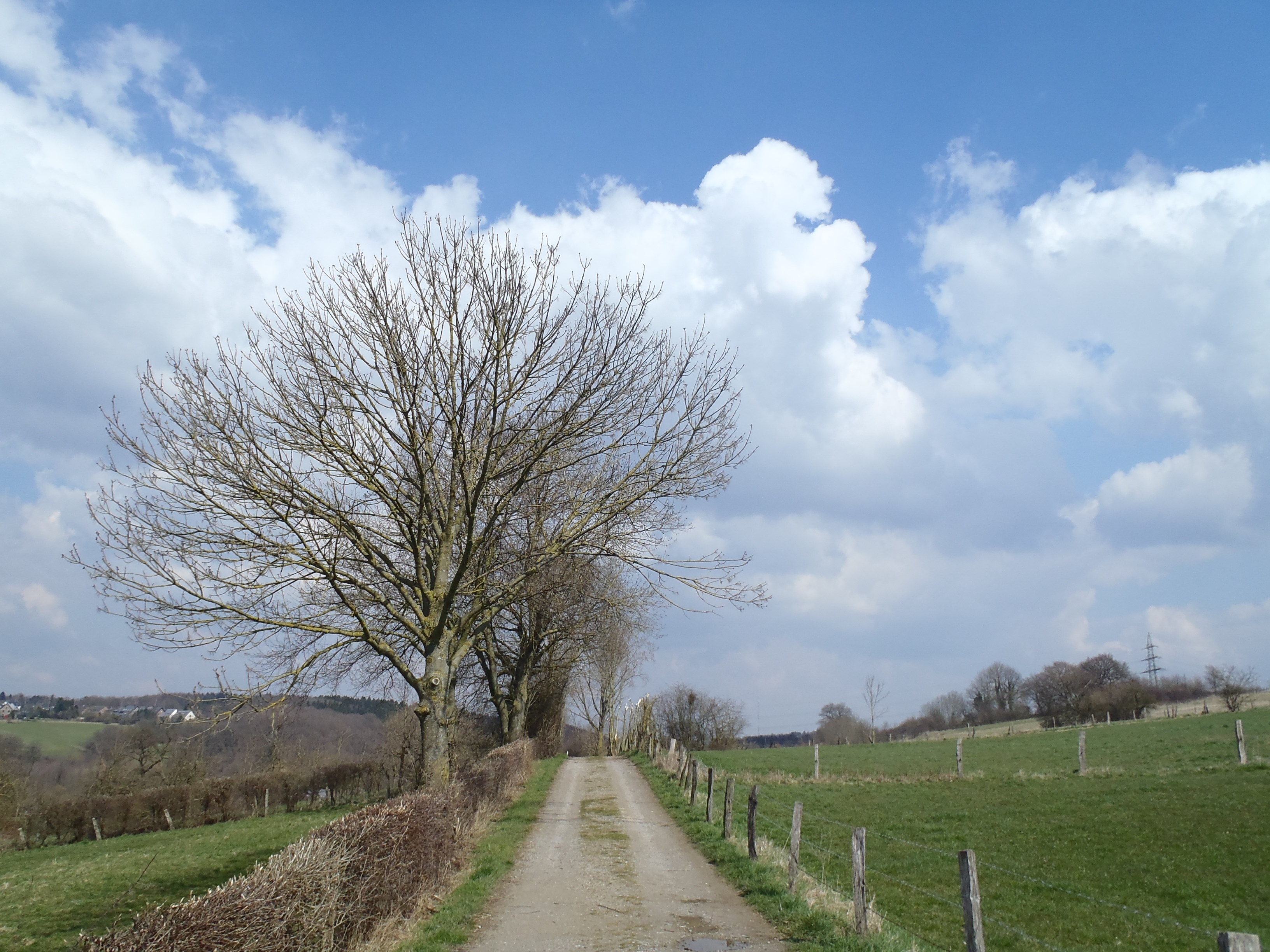 wandelpad naar het Broichbachtal