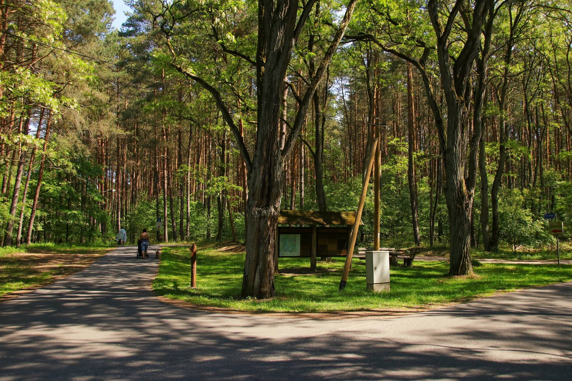 een park bij Stechlin