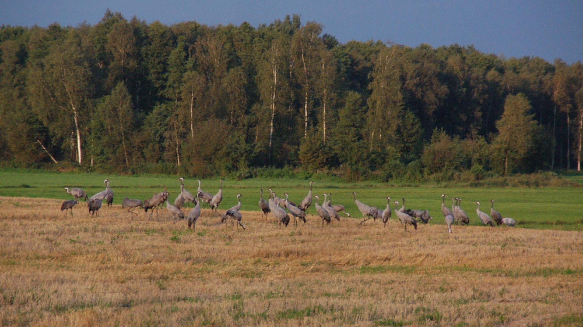 Dag 5 - Groepsreis Wandelen in Noordoost Polen