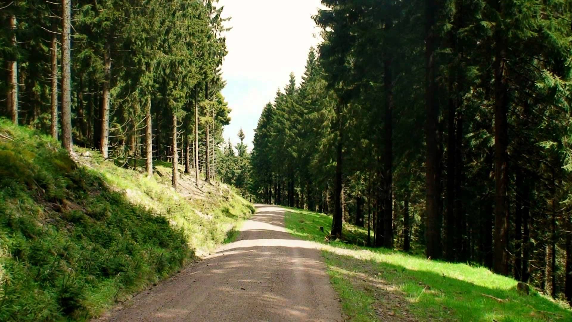 de route naar Oberhof