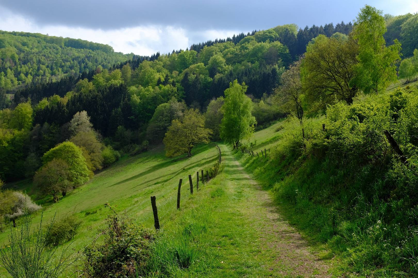 typisch Eifel-landschap