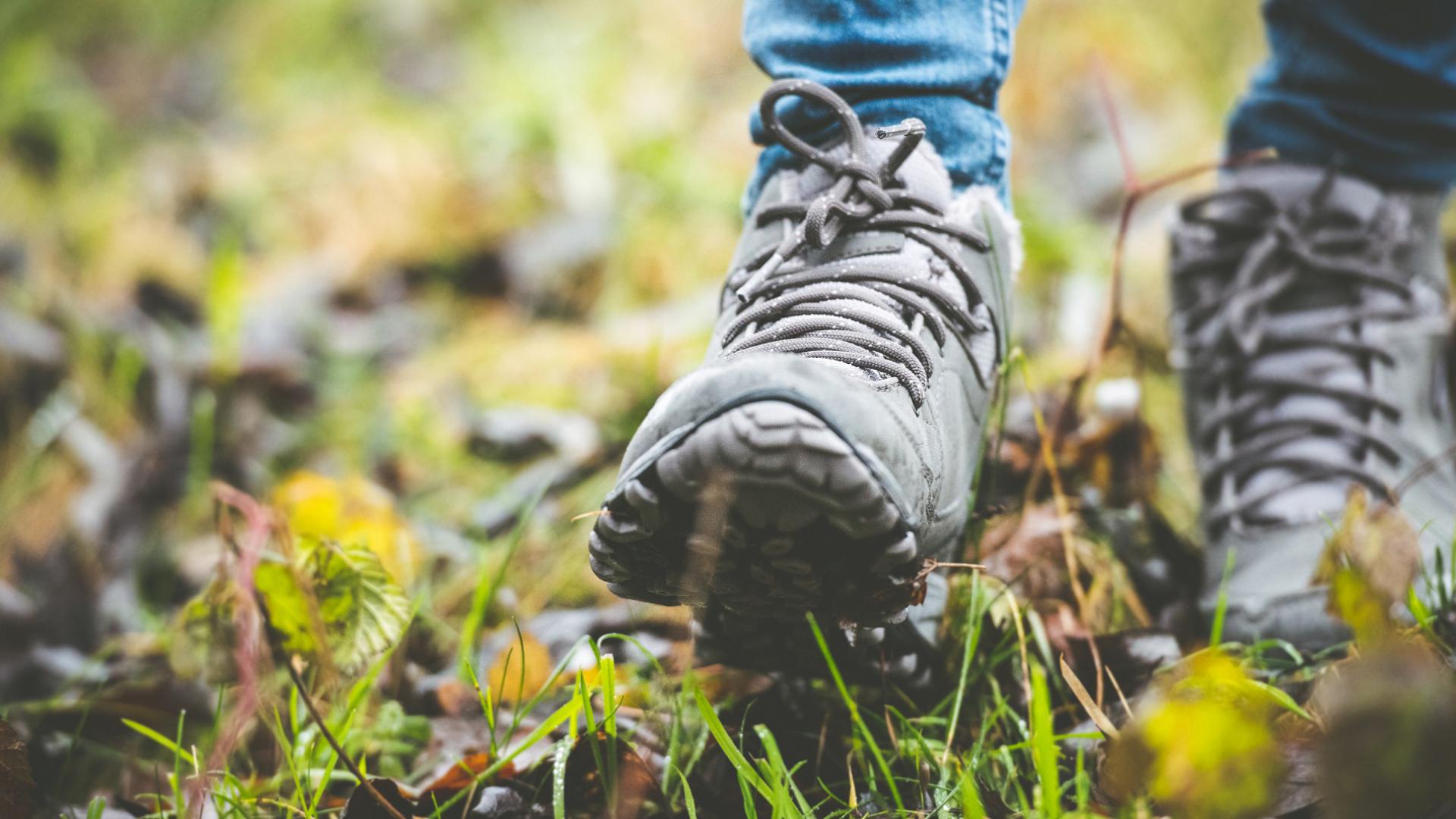 Dag 1 - Singlereis Wandelen in Twente Oud & Nieuw