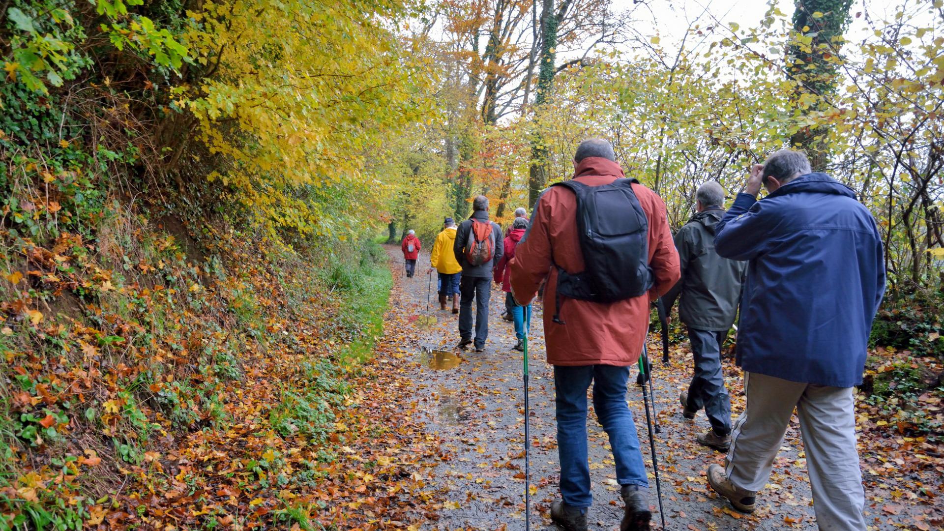 Dag 5 - Singlereis Wandelen in Twente Oud & Nieuw