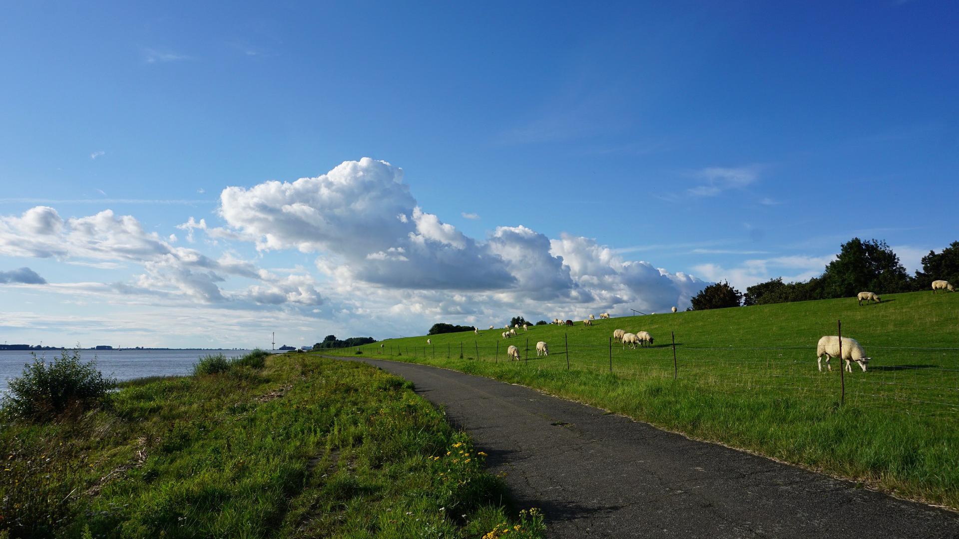 Dag 14 - Fietsvakantie van de bron van de Elbe naar Dresden