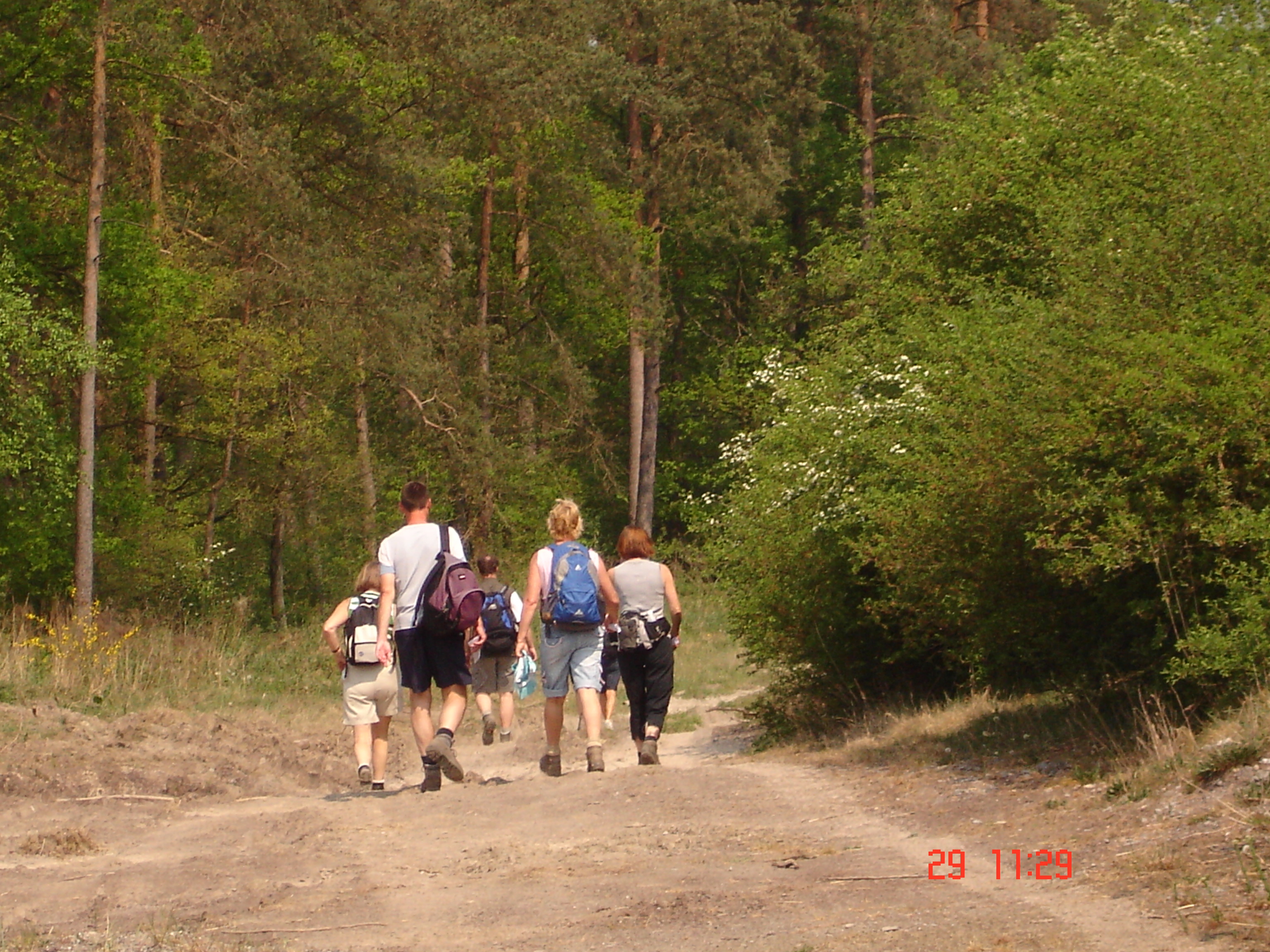 wandelen in de bosrijke omgeving van Clervaux