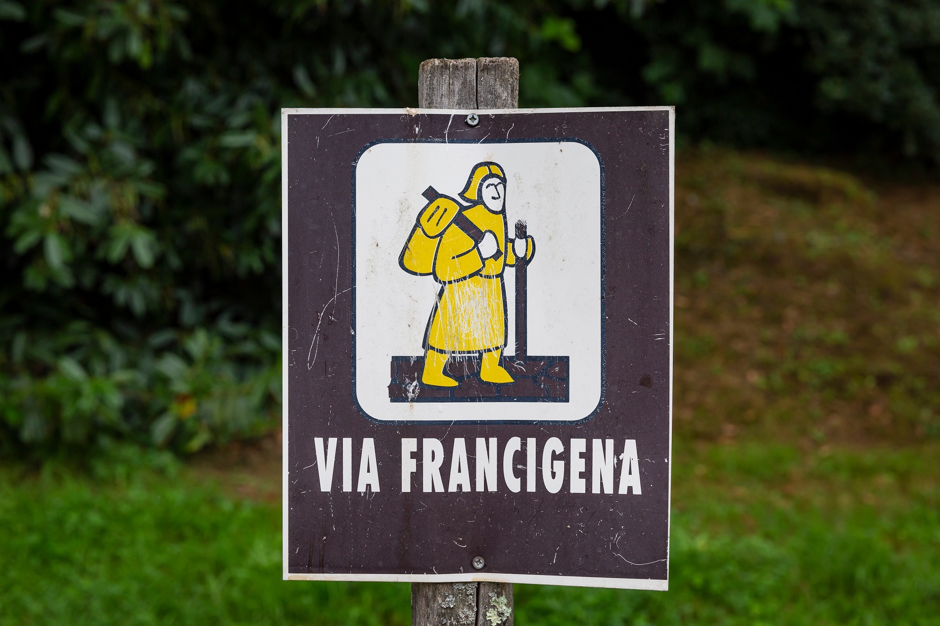 Dag 11 - Wandelvakantie Via Francigena  - deel 2 - van Siena naar Viterbo
