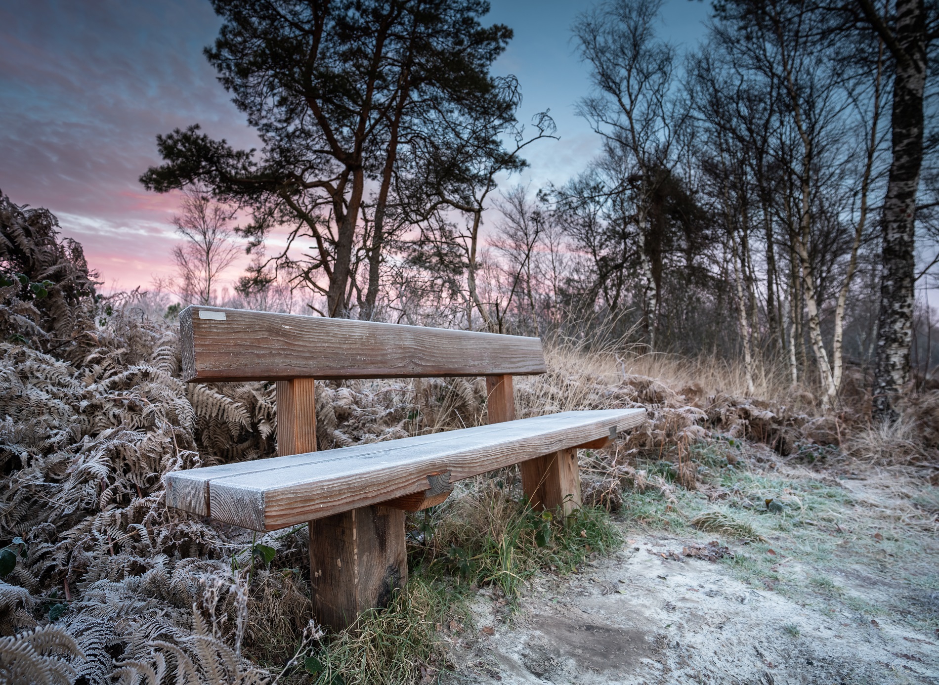 Dag 3 - Single reis Wandelen in de Peel (Asten) Kerst