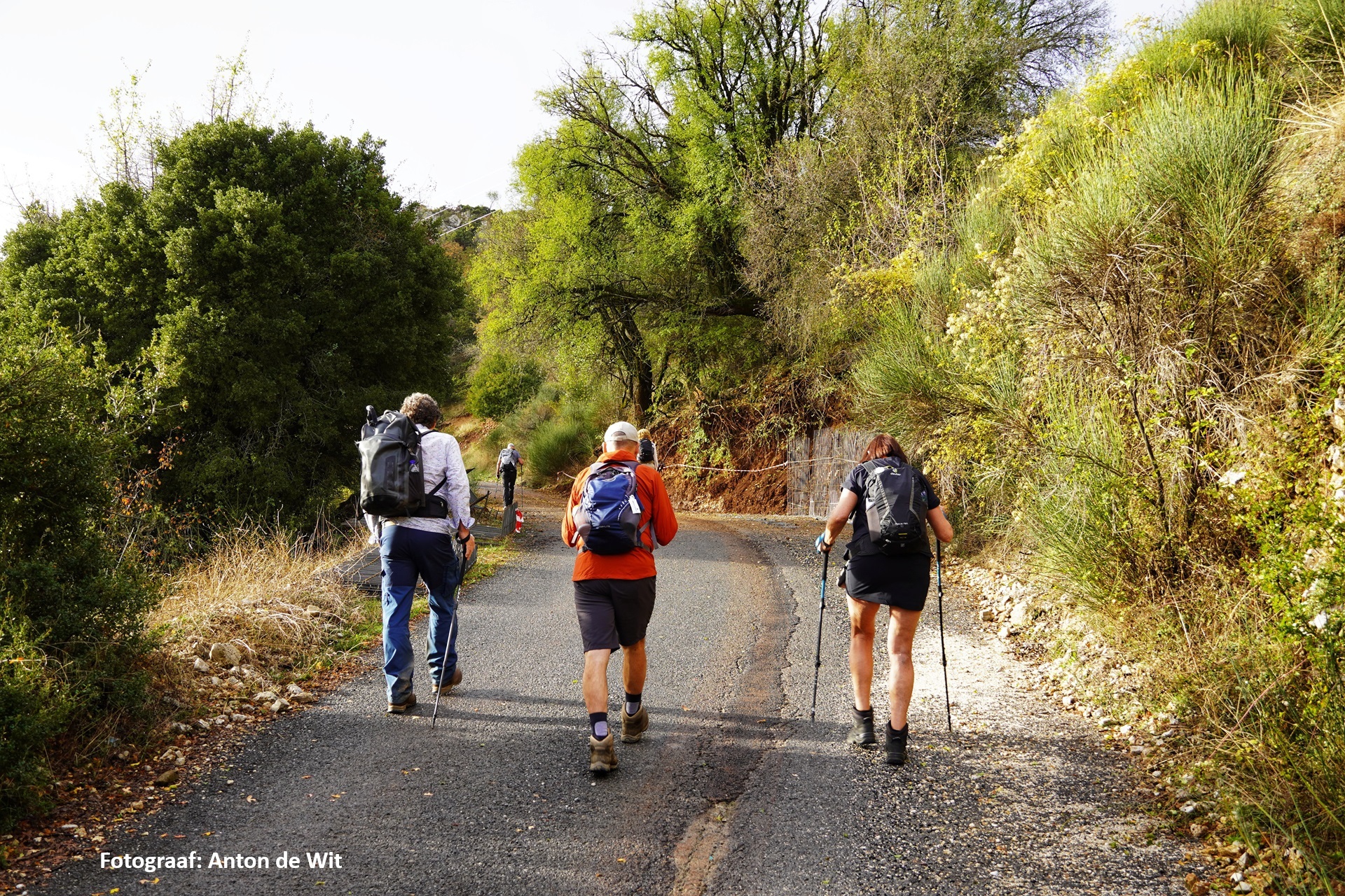 Dag 3 - Singlereis Wandelen Griekenland Menalon Trail