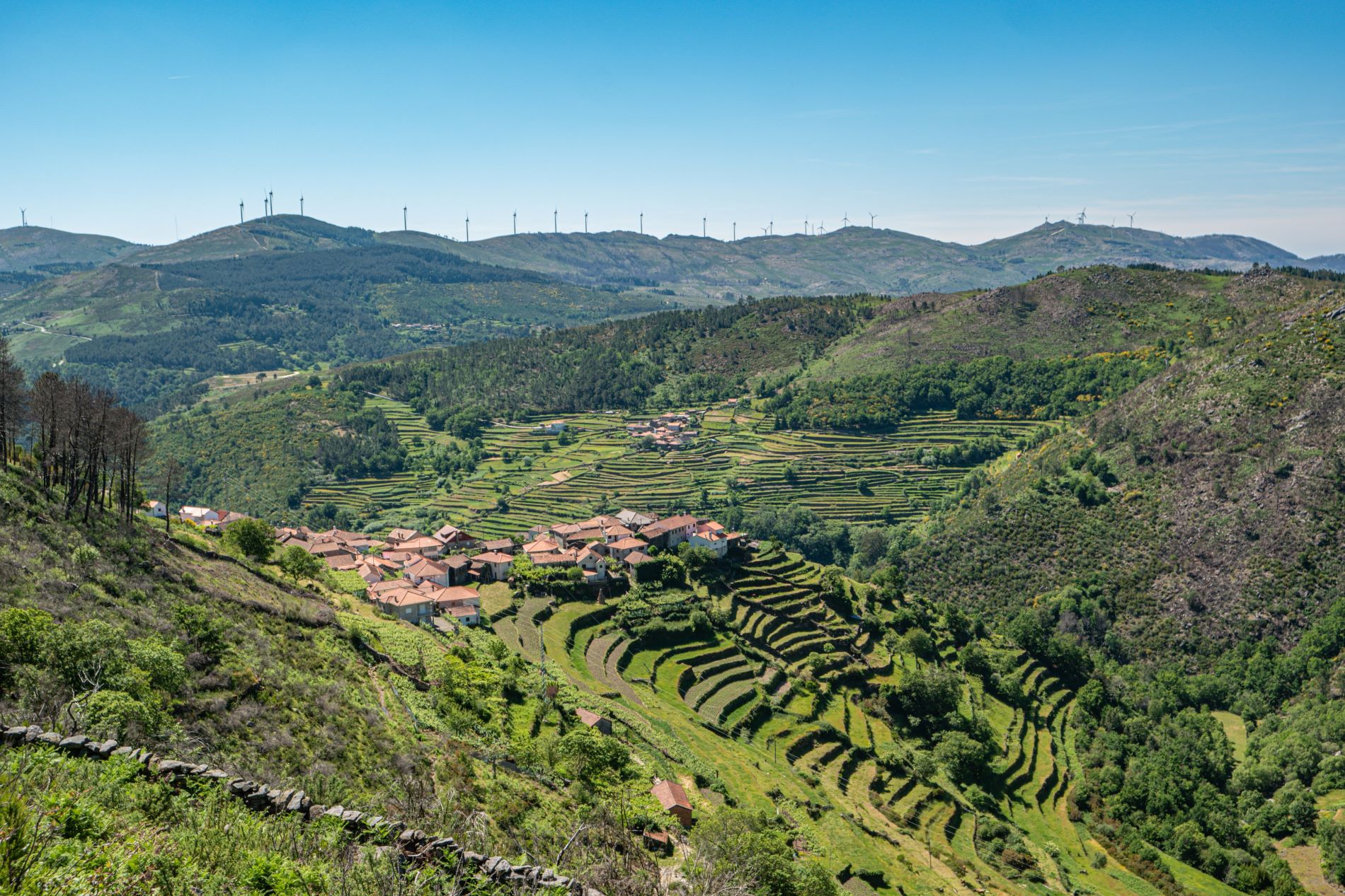 Dag 6 - Singlereis Wandelen Noord-Portugal - De Minho