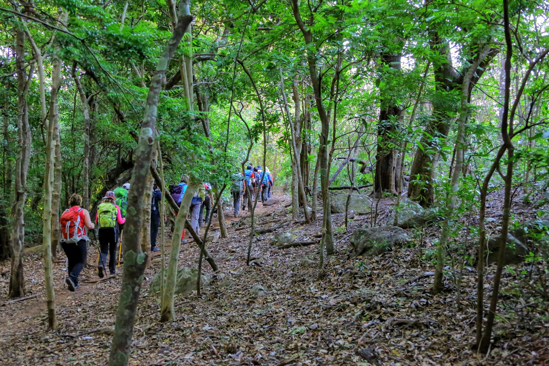 Dag 5 - Singlereis wandelen in Costa Rica