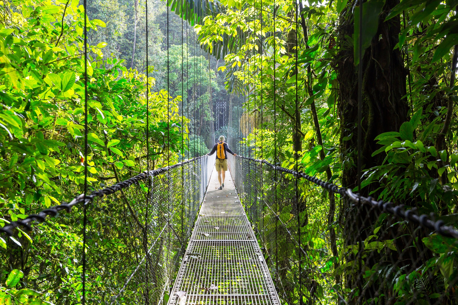 Dag 8 - Singlereis wandelen in Costa Rica