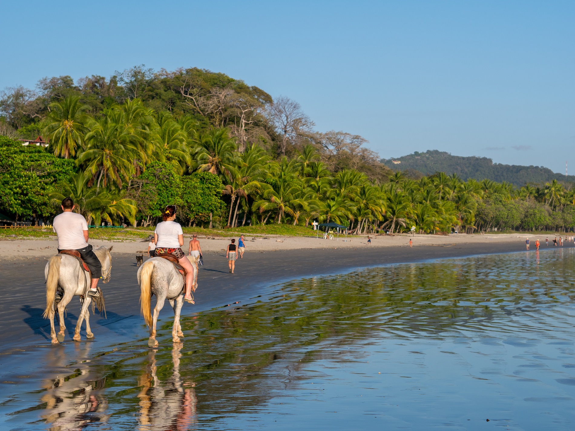 Dag 14 - Singlereis wandelen in Costa Rica