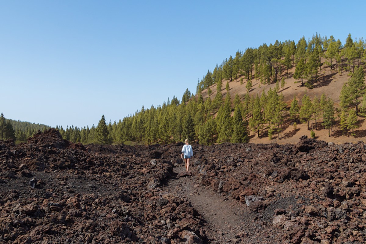 Dag 3 - Singlereis Wandelen Tenerife