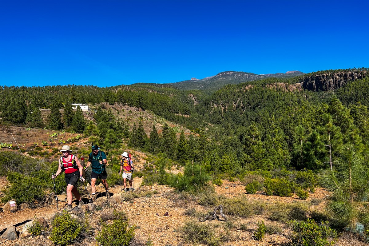 Dag 4 - Singlereis Wandelen Tenerife