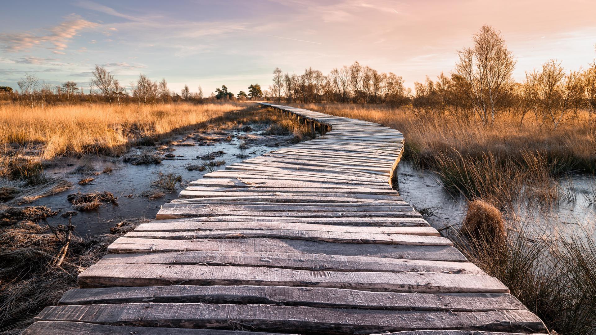 Dag 2 - Singlereis Wandelen in de Peel (Asten) Oudjaar