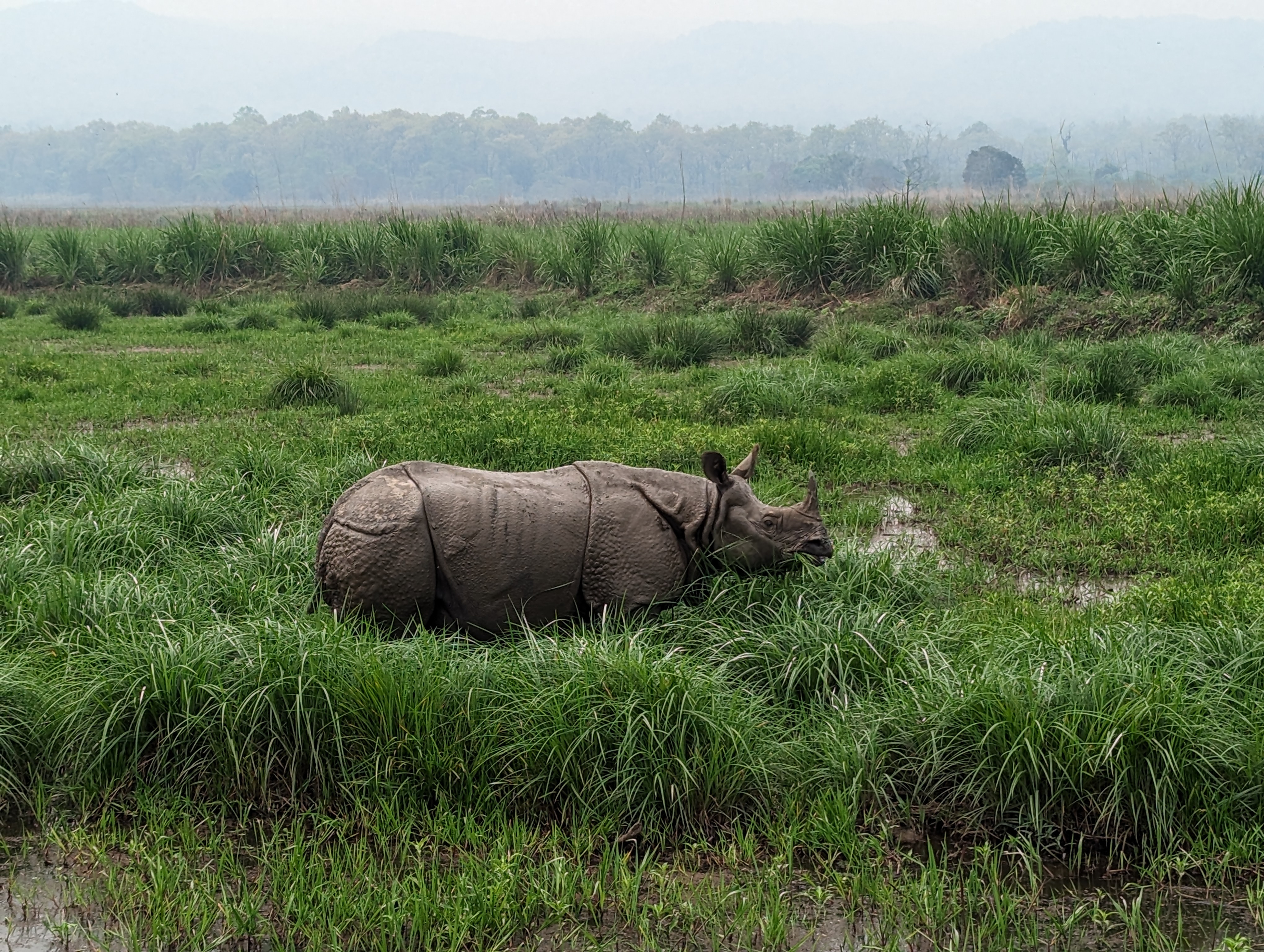 Dag 14 - Singlereis Nepal