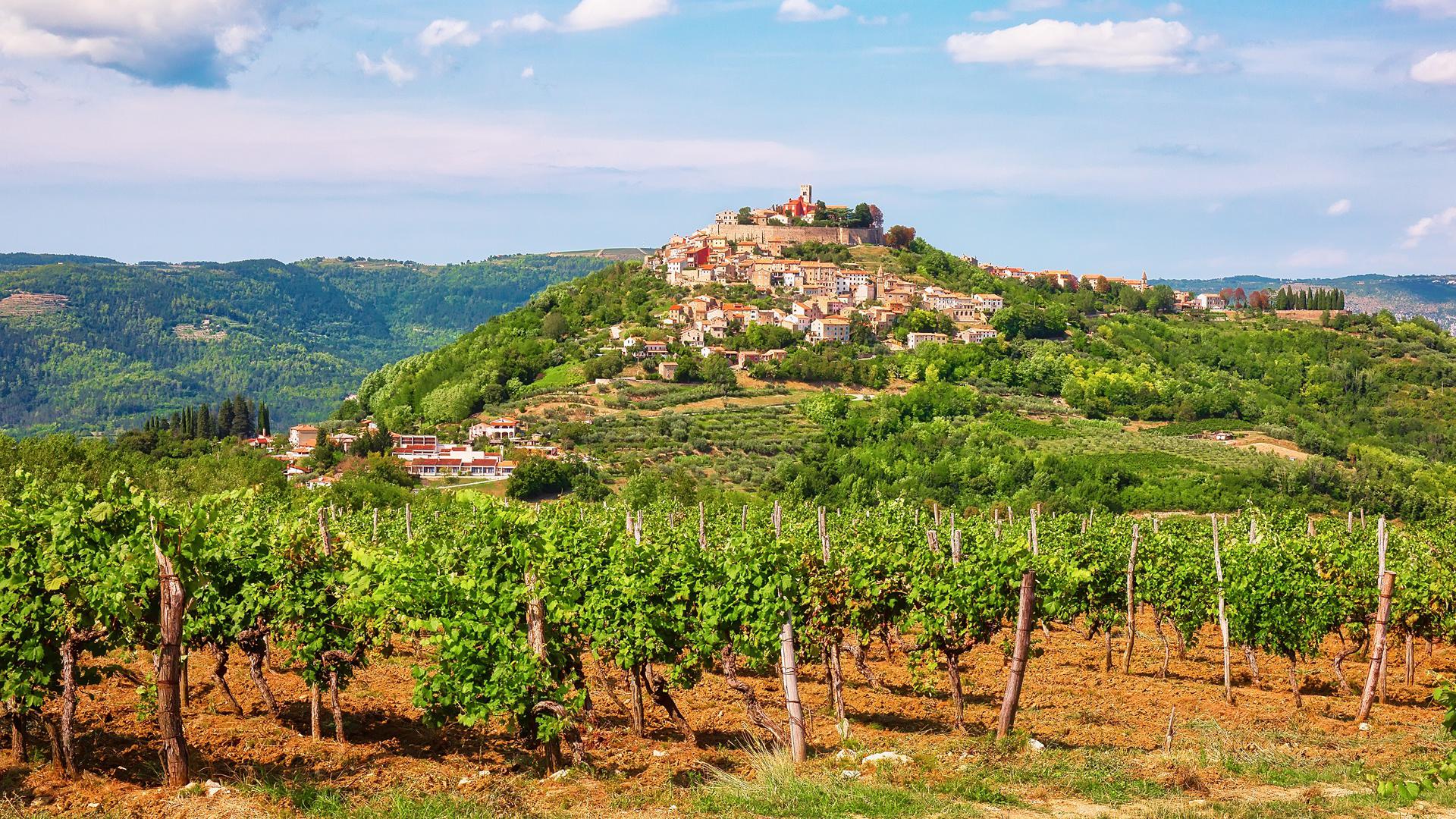 Motovun