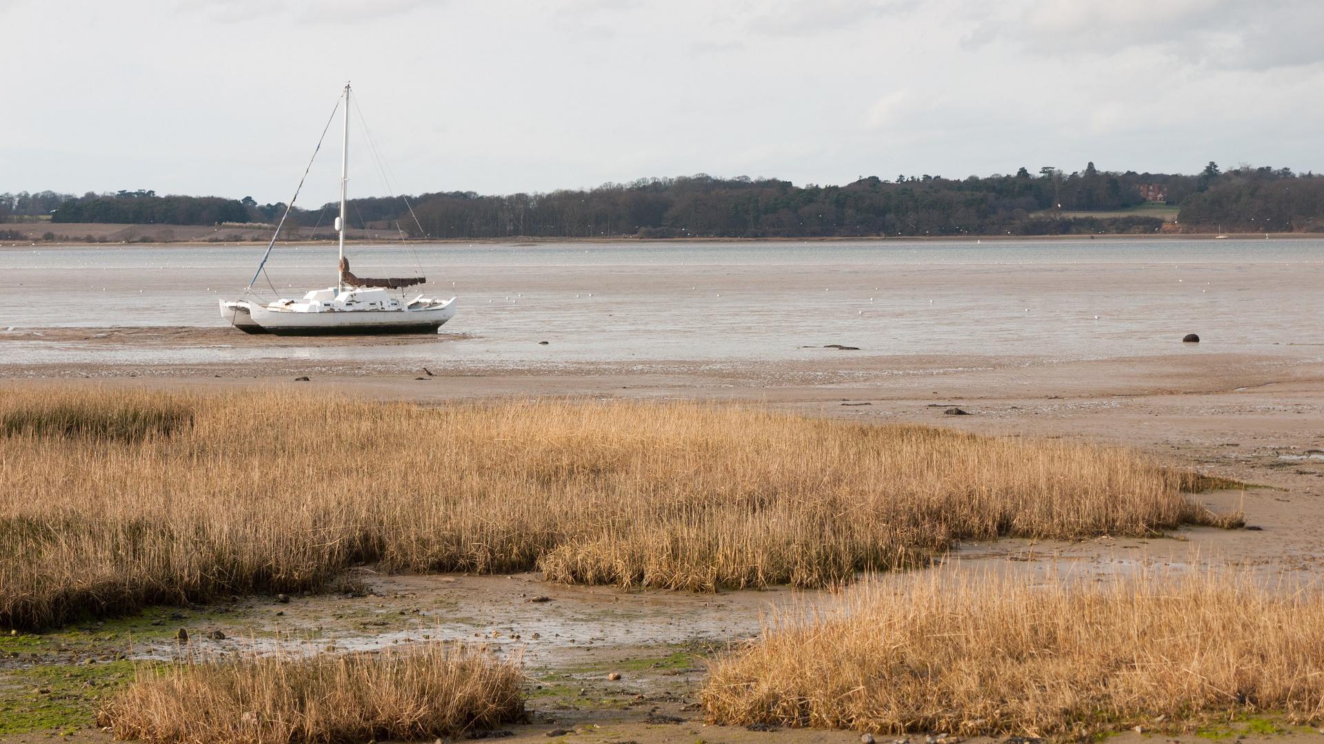 Dag 5 - Singlereis Wandelen Essex Way