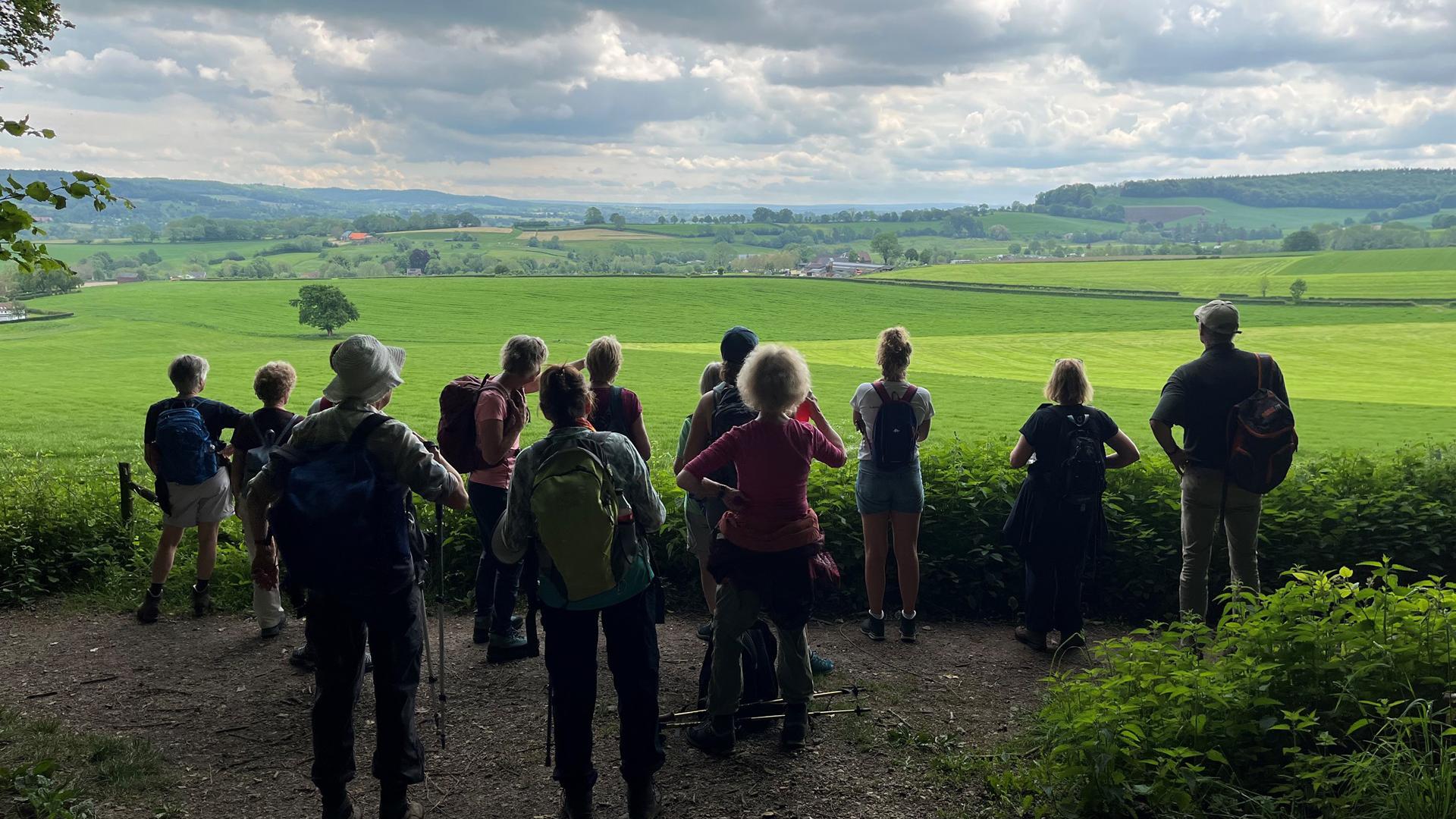 Dag 5 - Singlereis Wandelen Heuvelland en Geulvallei - 5 dagen