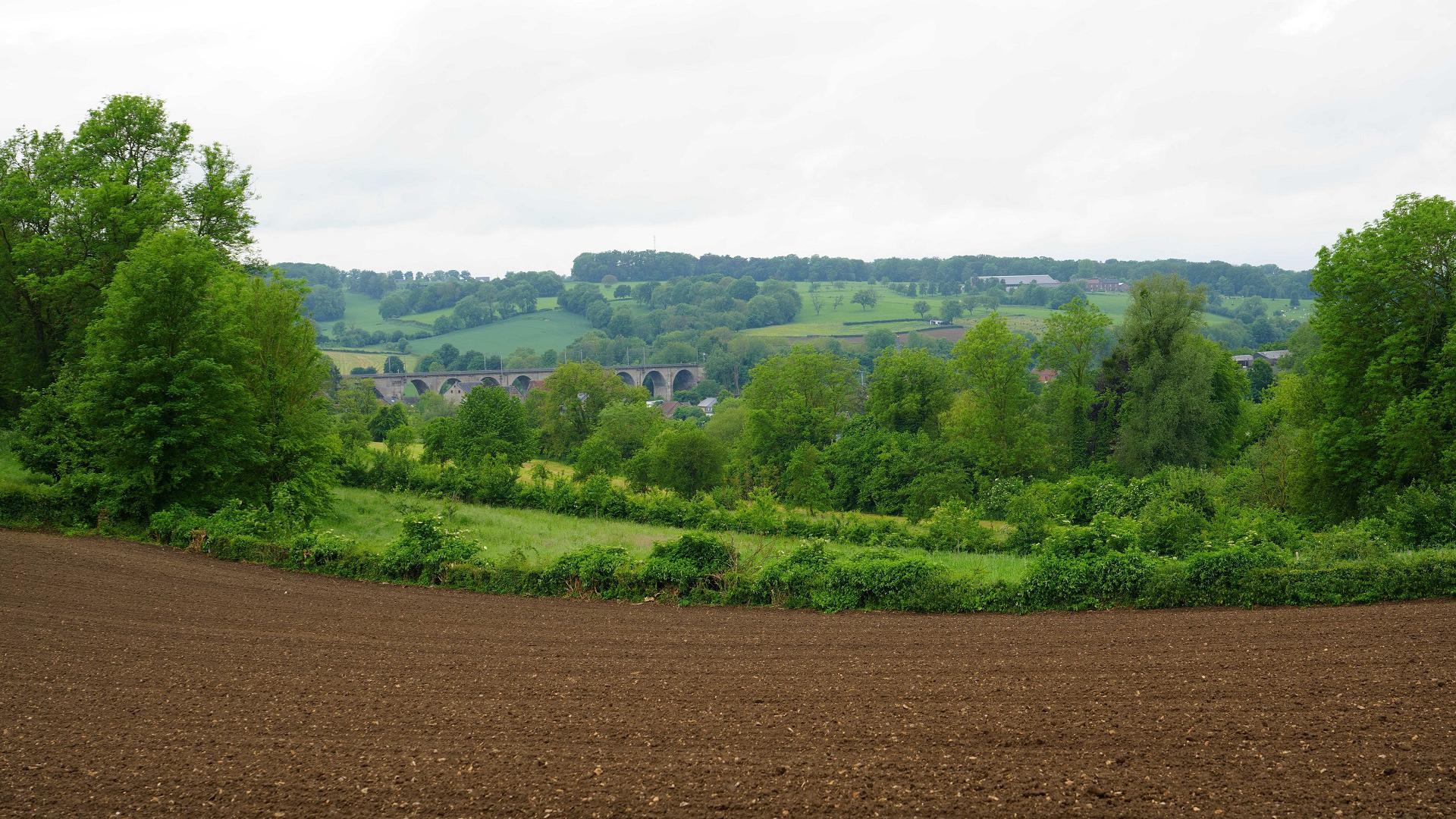 Dag 5 - Singlereis Wandelen Heuvelland en Geulvallei - 5 dagen - NAVO-special