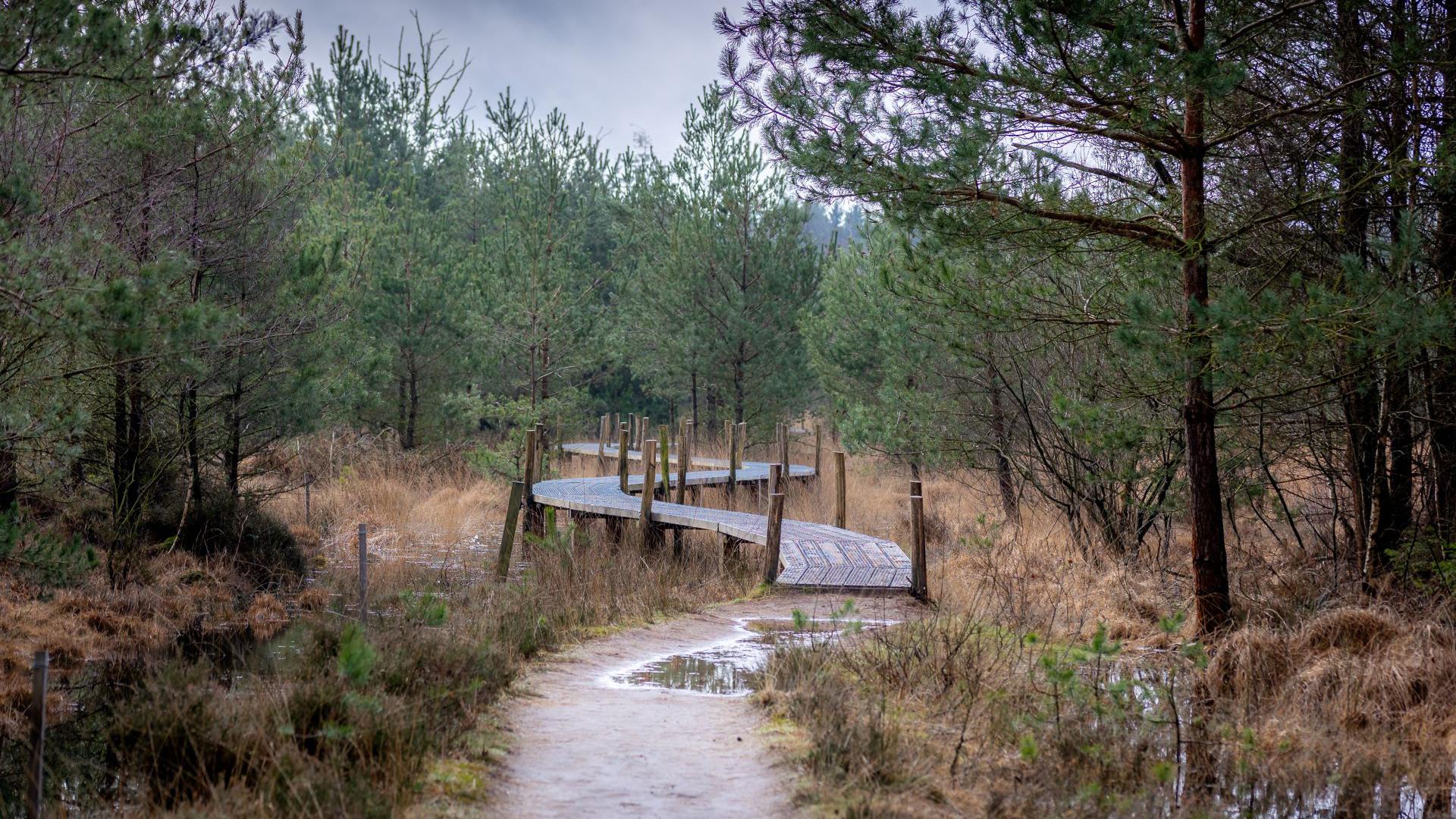 Dag 4 - Single Winterreis wandelen in Drenthe