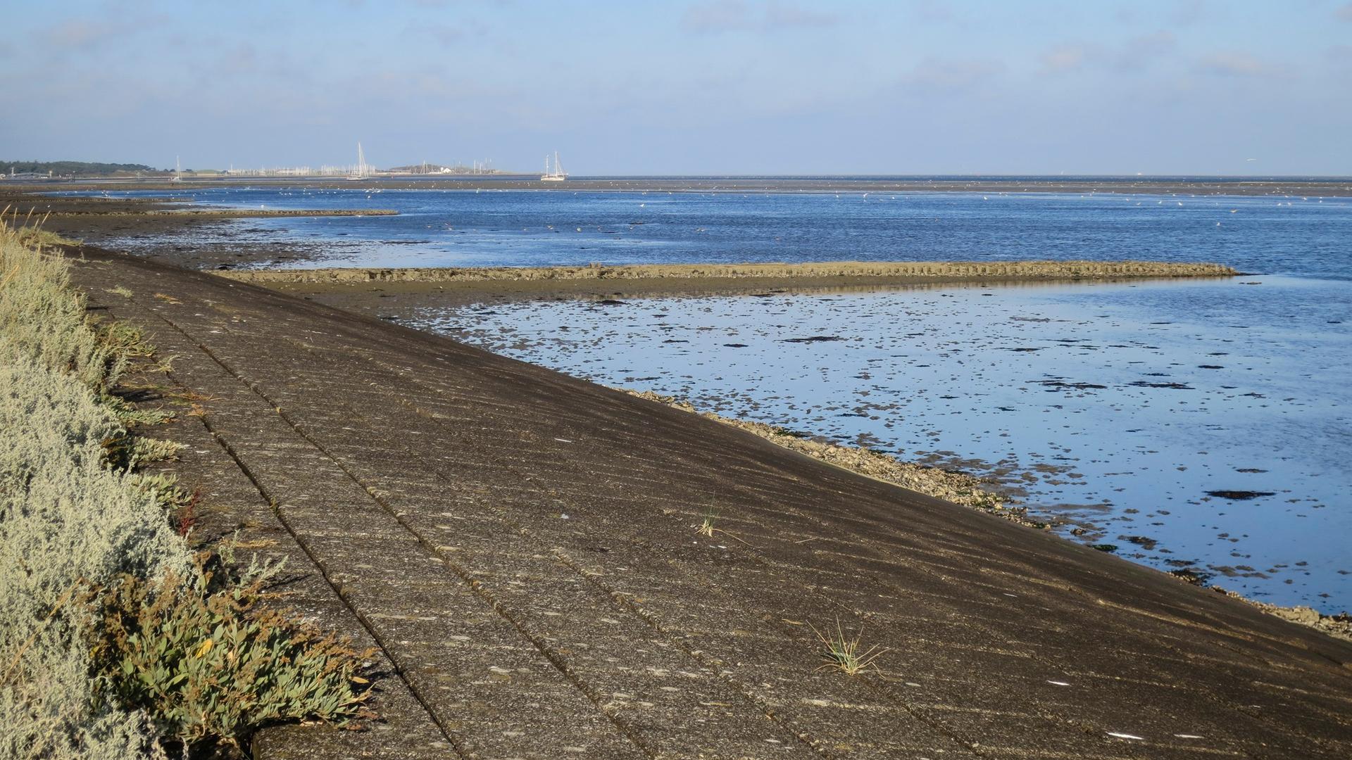 Dag 1 - Wandelvakantie Pieterpad 1 van Pieterburen naar Coevorden