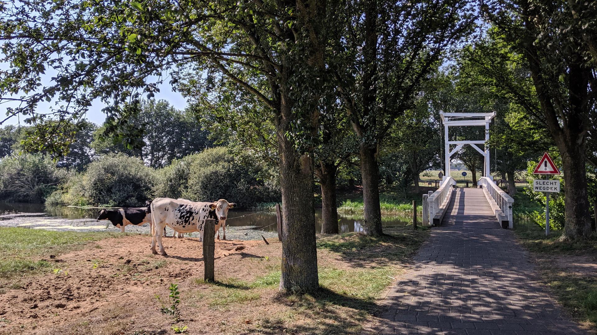 Dag 4 - Wandelvakantie Pieterpad 2 van  Coevorden naar Vorden 