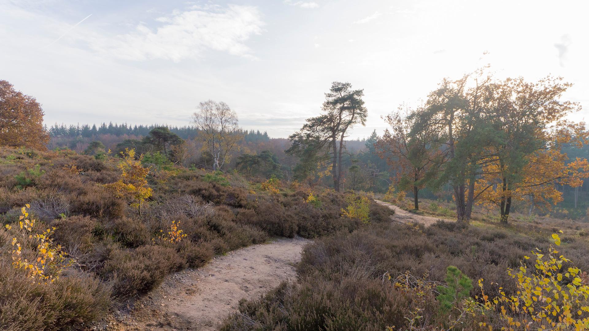 Dag 5 - Wandelvakantie Pieterpad 2 van  Coevorden naar Vorden 