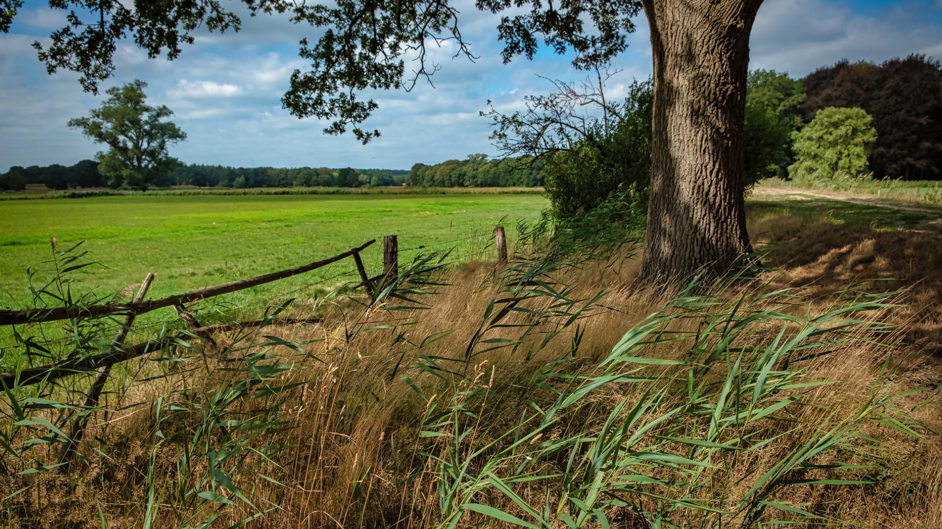 Dag 4 - Pieterpad op de fiets (sportief)