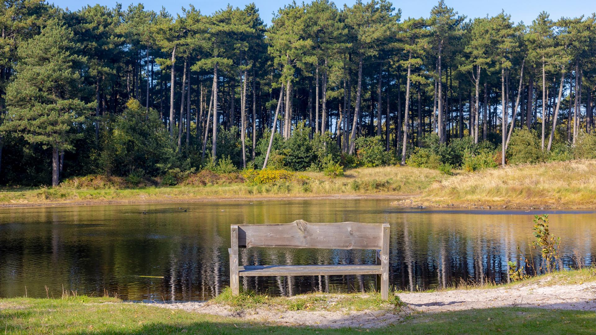 Dag 2 - Singlereis Wandelen Terschelling