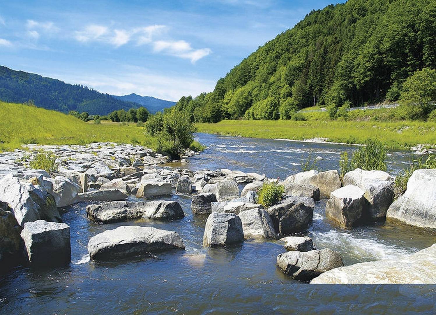 jong riviertje hoog in het Schwarzwald