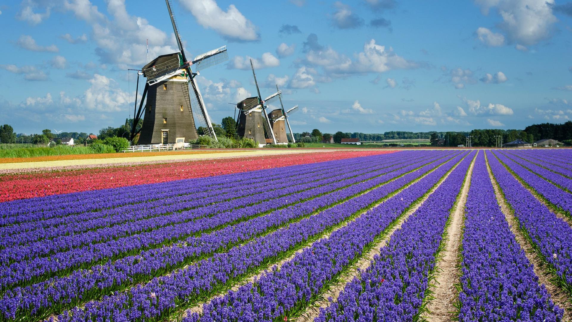 Dag 4 - Fietsvakantie Kop van Noord-Holland 