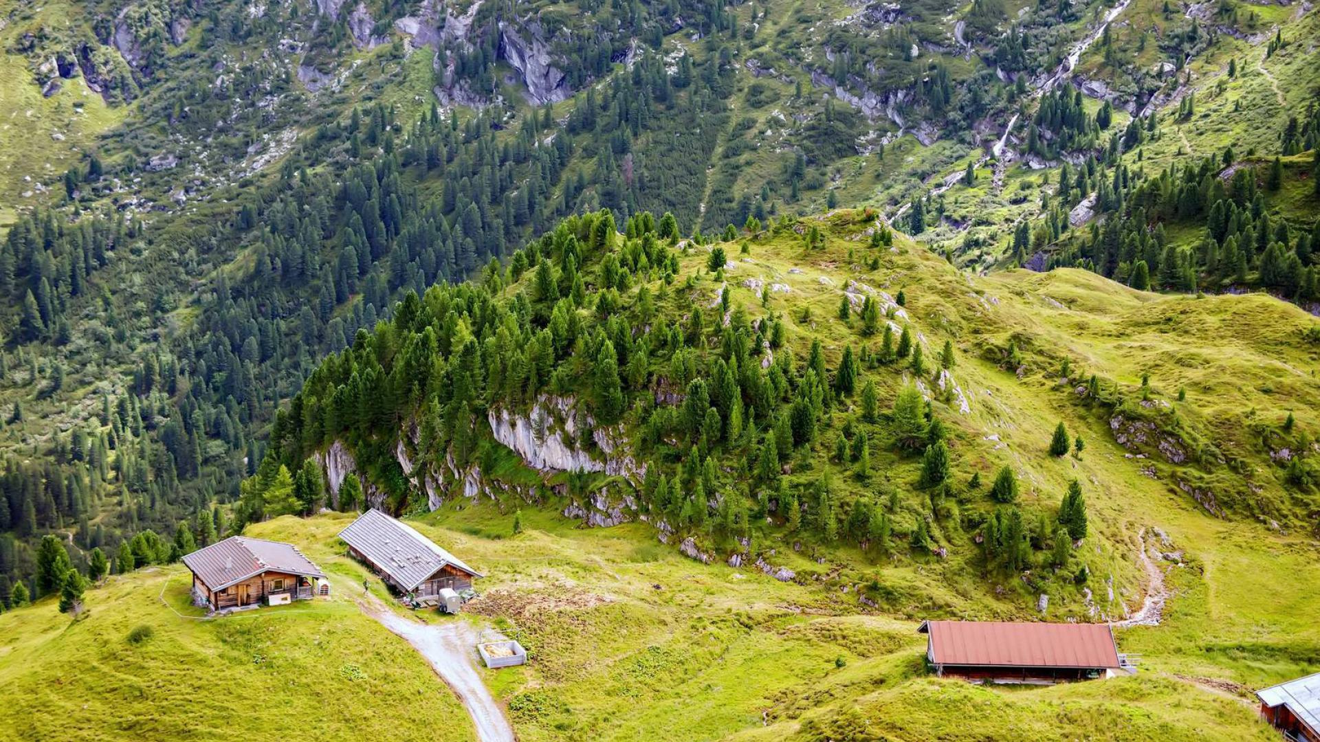 Dag 4 - Singlereis Wandelen Zillertal